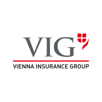 VIG logo