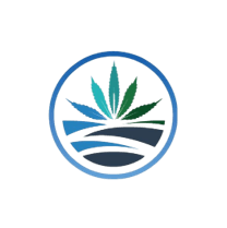 High Tide logo