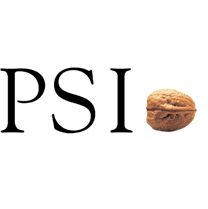 PSI Software logo