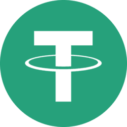 Mapped USDT logo