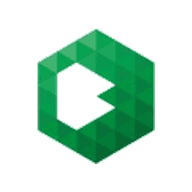 BE Semiconductors logo