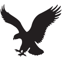 Amer Eagle Out logo