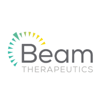 Beam logo