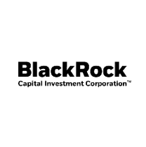 BlackRock Cap US logo