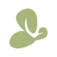 Orchid Island logo