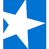Starwd Property logo
