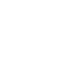 XPeng ADR Representing 2 logo
