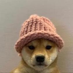 dogwifcoin logo
